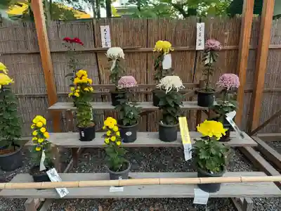 諏訪大社下社秋宮(長野県)