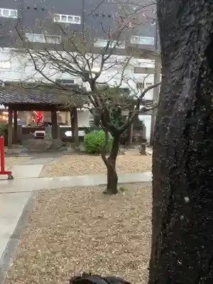 三輪神社のその他建物
