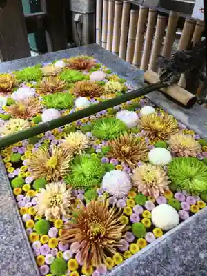 高円寺氷川神社(東京都)