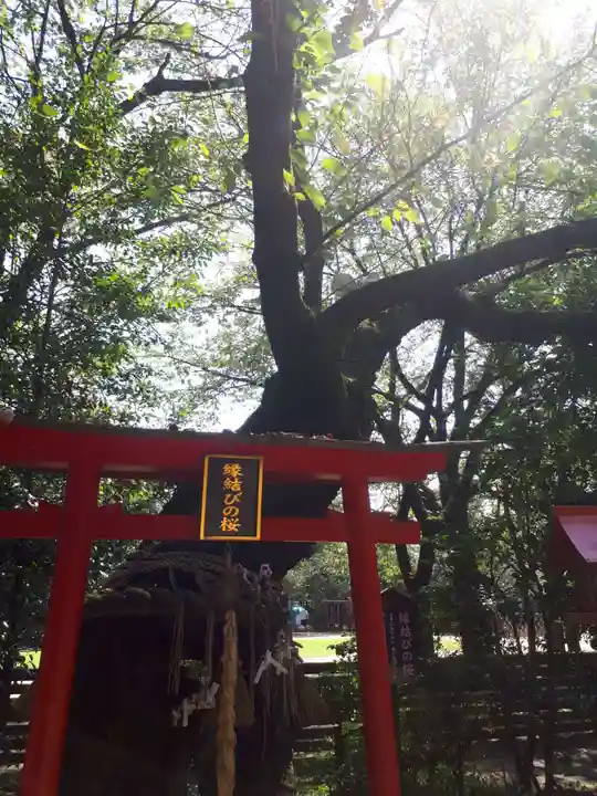 冠稲荷神社の鳥居