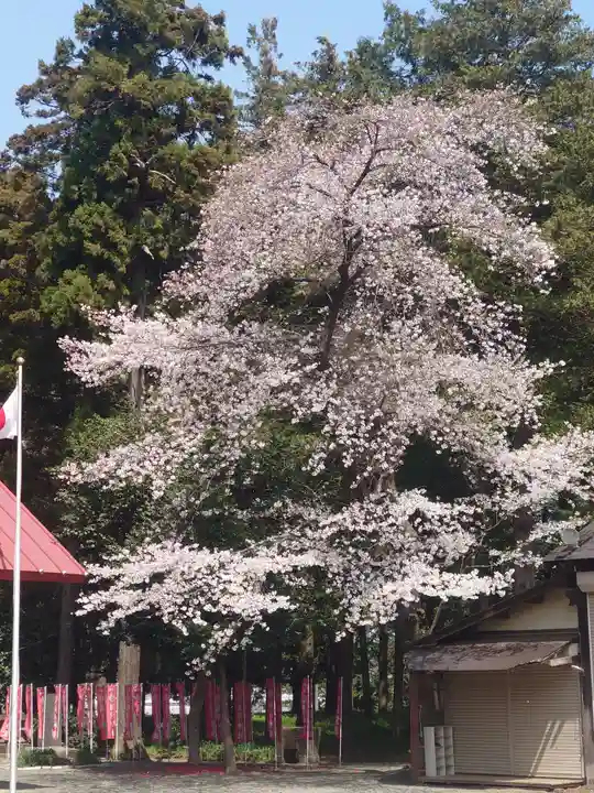 宇都母知神社(神奈川県)