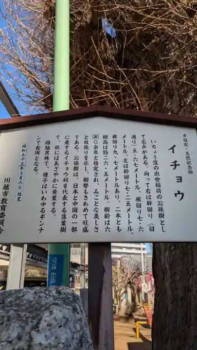 出世稲荷神社(埼玉県)