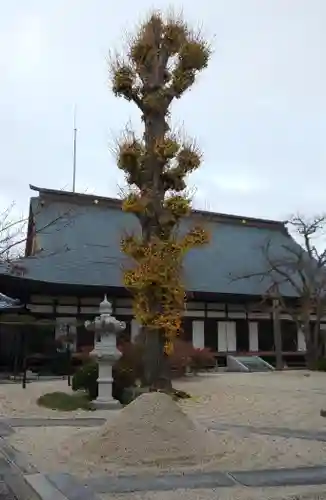 月山寺の本殿・本堂