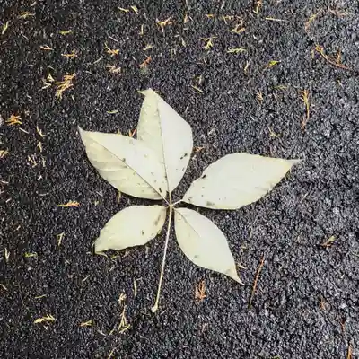 高岡神社(岡山県)