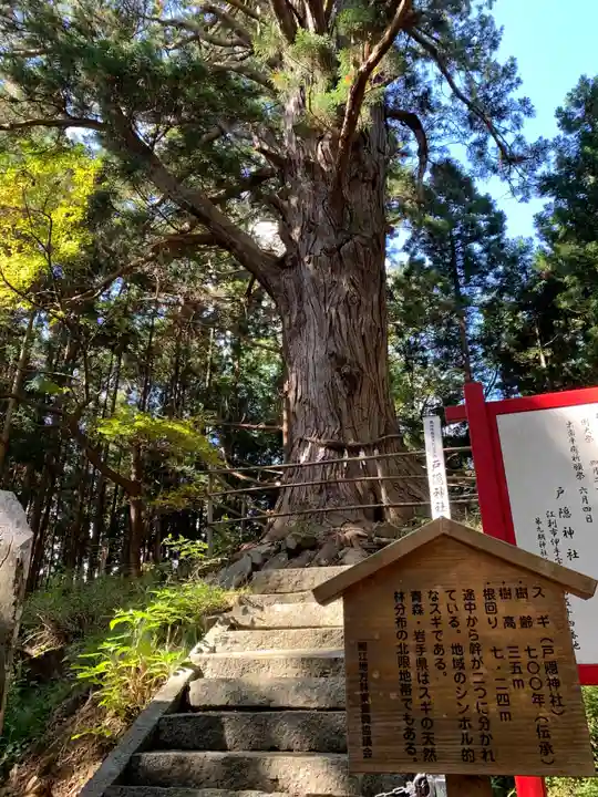 戸隠神社の自然