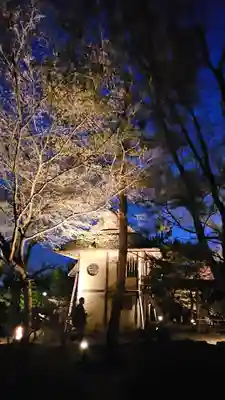 高台寺（高台寿聖禅寺・高臺寺）(京都府)