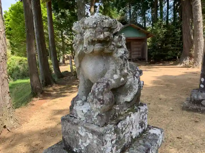 瀧口神社の狛犬