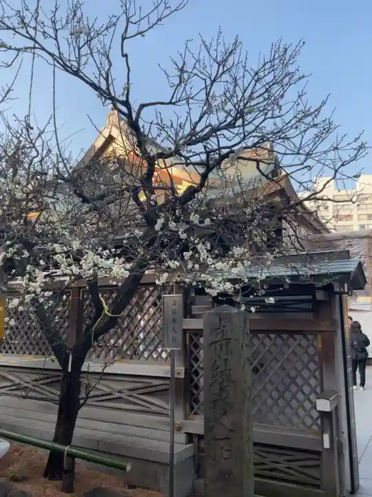 湯島天満宮(東京都)