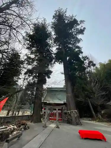 雲八幡宮の自然