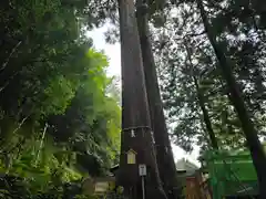 丹生川上神社（中社）(奈良県)