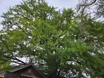 来迎院(奈良県)