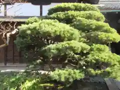 観智院（東寺子院）(京都府)