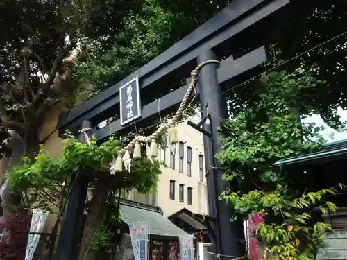 菊名神社の鳥居