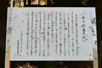 三所神社(桑の川の大杉)(高知県)