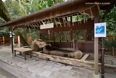 賀茂御祖神社(下鴨神社)の手水舎