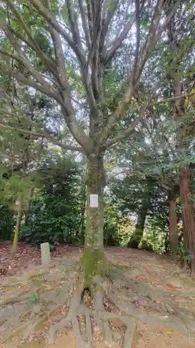 三島神社(樋口)(愛媛県)