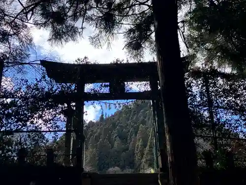 龍頭神社(埼玉県)