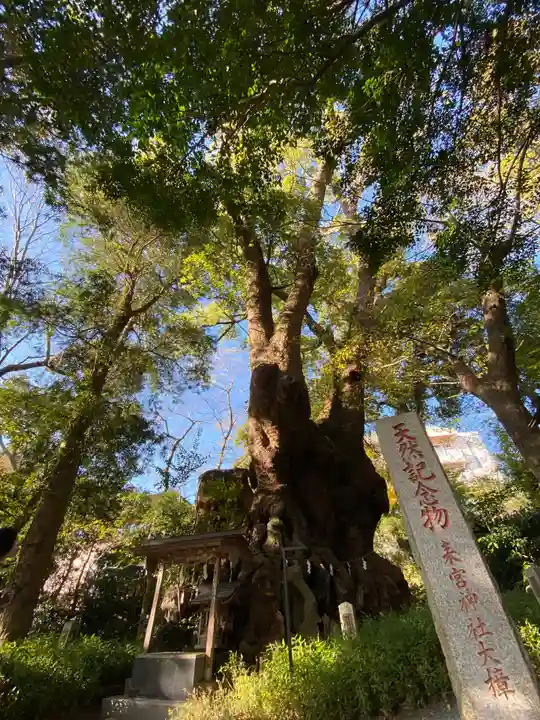 來宮神社の自然
