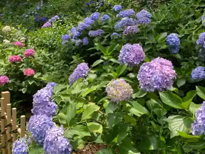 妙楽寺(神奈川県)