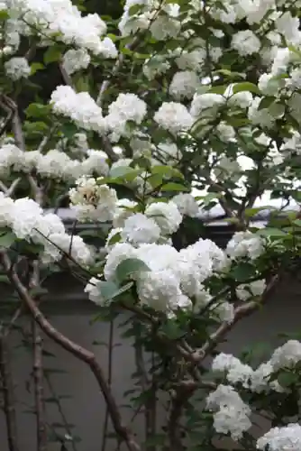 松室院(奈良県)