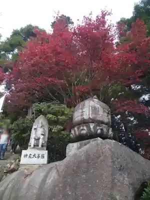 大聖院弥山本堂(広島県)