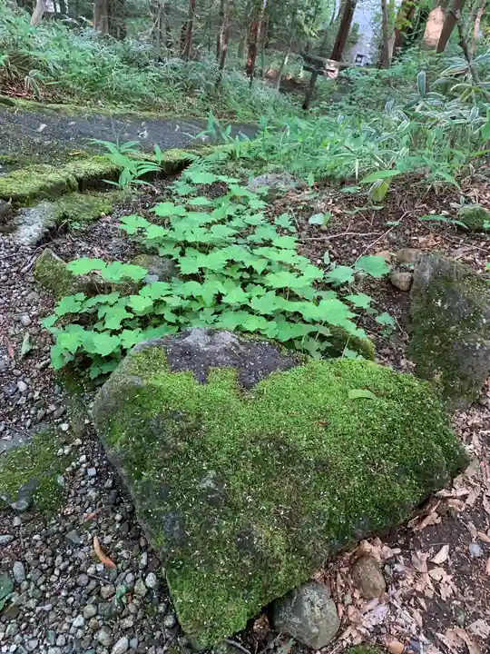 那須温泉神社の自然