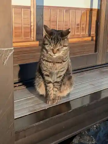 唐澤山神社(栃木県)