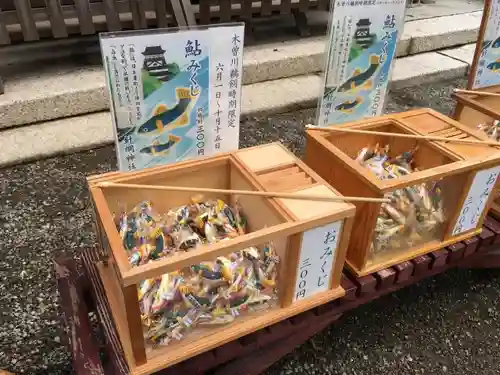 針綱神社のおみくじ