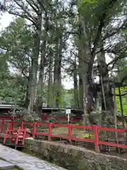 日光二荒山神社(栃木県)