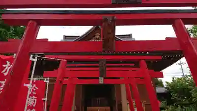 於菊稲荷神社の鳥居