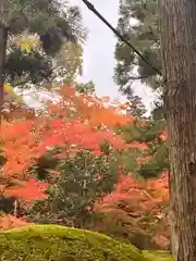 今熊野観音寺(京都府)