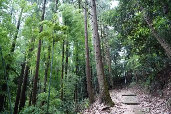 帳附神社の景色