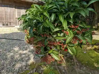 出雲大社(島根県)