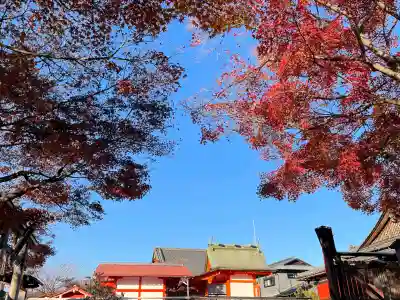 車折神社の{uncategorized: "未分類", other: "その他", undefined: "問題あり", building: "その他建物", grave: "お墓", sacred_gate: "鳥居", guardian: "狛犬", statue: "像", buddha: "仏像", history: "歴史", nature: "自然", garden: "庭園", animal: "動物", pagoda: "塔", temizu: "手水舎", mountain_gate: "山門・神門", sanctuary: "本殿・本堂", subordinate: "末社・摂社", art: "芸術", scenery: "景色", jizo: "地蔵", ema: "絵馬", goshuin: "御朱印", omikuji: "おみくじ", items: "授与品その他", amulet: "お守り", goshuincho: "御朱印帳", eats: "食事", festival: "お祭り", votive_dance: "神楽", shichigosan: "七五三参", wedding: "結婚式", experience: "体験その他", initially: "初詣", around: "周辺", anti_infection: "感染症対策"}