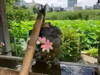 寛永寺不忍池弁天堂の手水舎
