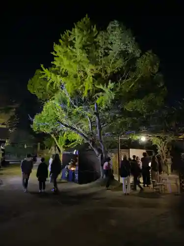 このみ白雲大社(岡山県)