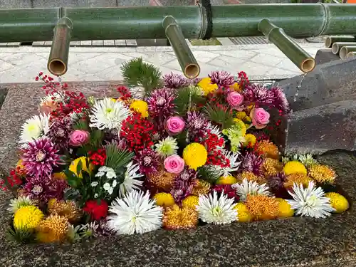 八坂神社(祇園さん)(京都府)