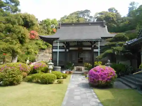 仏行寺（佛行寺）の本殿・本堂