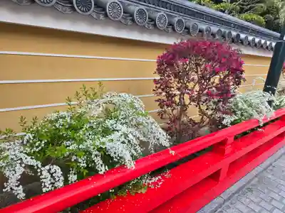 中山寺(兵庫県)