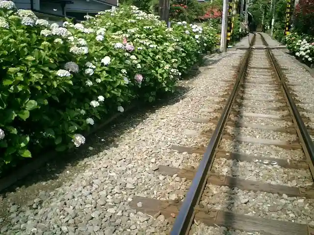御霊神社の周辺