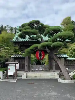 長谷寺の山門・神門