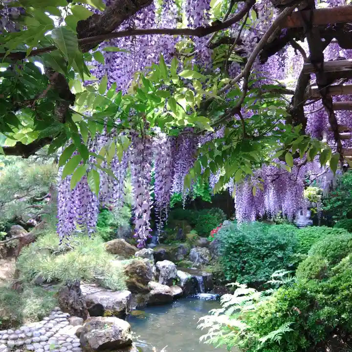 金蛇水神社の自然