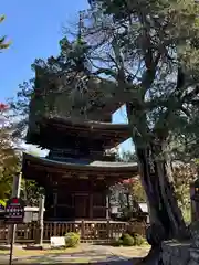 信濃國分寺(長野県)