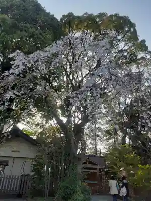 伊勢山皇大神宮(神奈川県)
