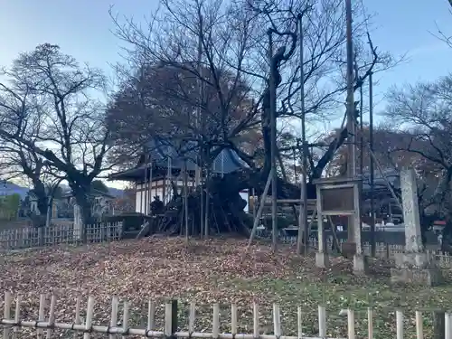 実相寺(山梨県)