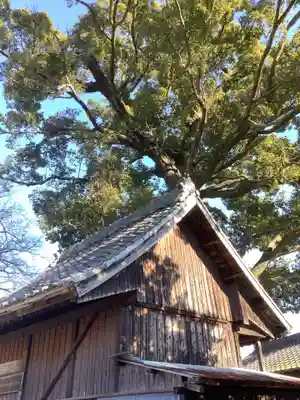 関川社（赤坂町）の自然