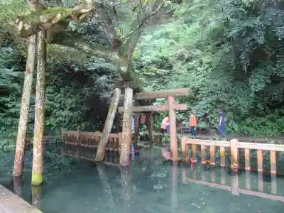 鹿島神宮(茨城県)