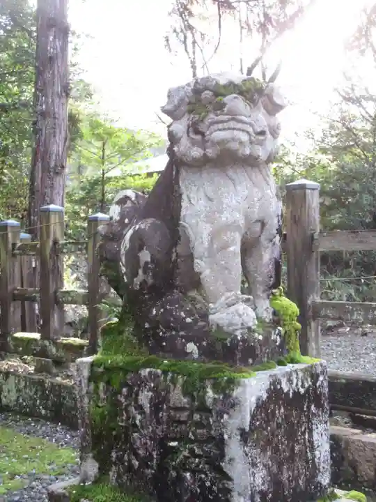 吉野神宮の狛犬