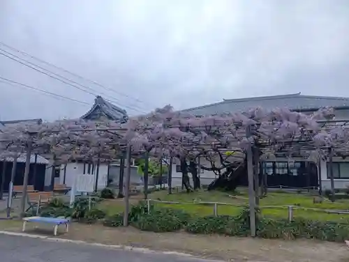竹鼻別院(岐阜県)