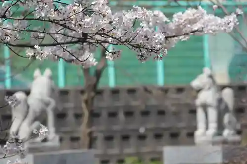 乙吉稲荷神社の狛犬